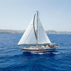 Read more about the article Cosh