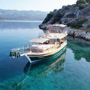 Read more about the article Coskun 1